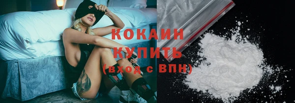 крисы Бронницы