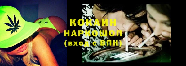 крисы Бронницы
