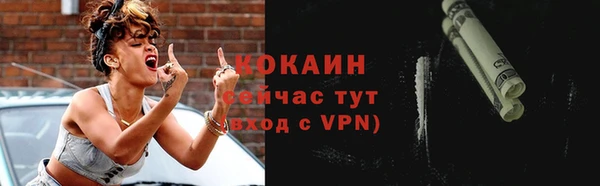 крисы Бронницы