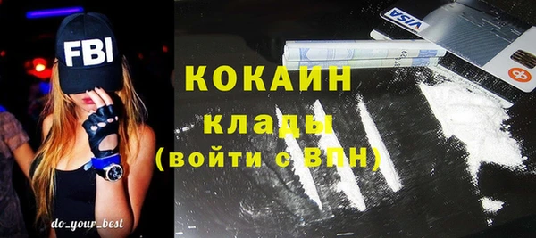 гидра Верея